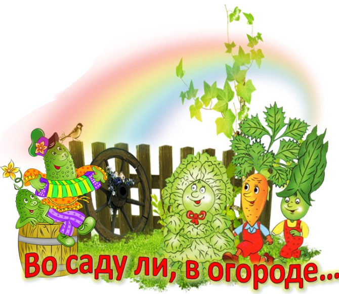 Анатолий Калинин из Соликамска утверждает: если теплица закрыта, урожая не жди
